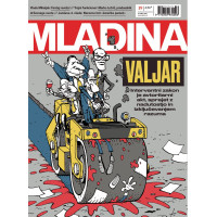 Mladina 19/2026