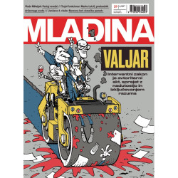 Mladina 19/2026