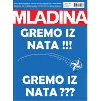 Mladina 28/2025