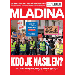 Mladina 41/2023