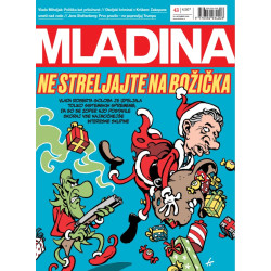 Mladina 43/2025