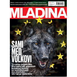 Mladina 52/2025