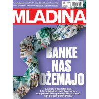 Mladina 27/2025