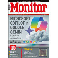 Monitor  05/2024
