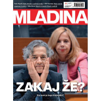 Mladina 49/2022